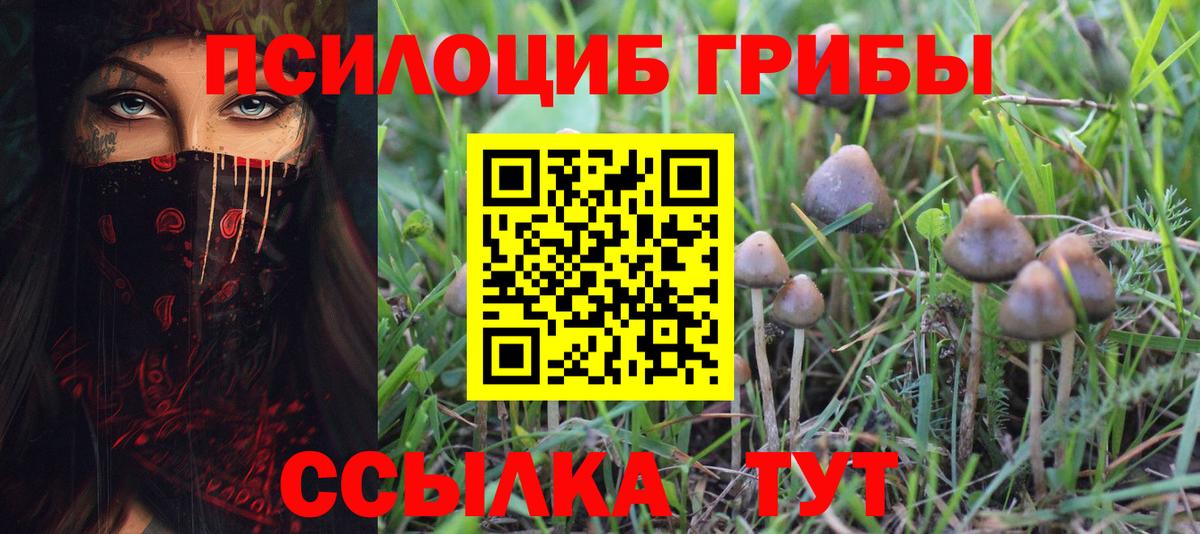 Псилоцибиновые грибы прущие грибы  Вход с VPN  где найти   Чусовой 